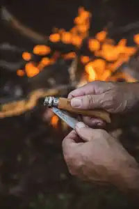 Essential Pro Knife Sharpening Tips for the Outdoorsman